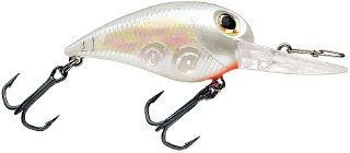 0001_Storm_Wiggle_Wart_MadFlash_5_cm_[Ghost_Shad].jpg